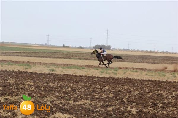 khoyoul lud 0610 (32).JPG